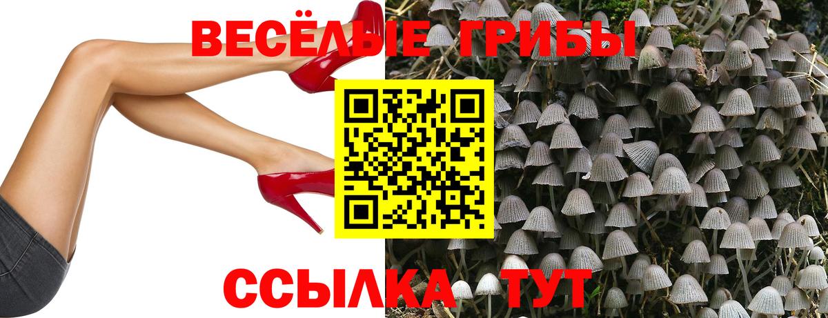 Ханты-Мансийск  Галлюциногенные грибы мицелий  Галлюциногенные грибы Psilocybine cubensis  Вход с VPN 